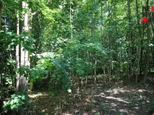 Prodej pozemku pro bydlení, Jiřetín pod Jedlovou, 5471 m2