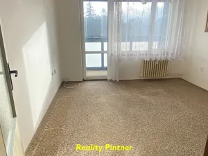 Prodej bytu 1+1, Příbram, Čechovská, 33 m2