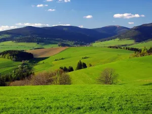 Prodej pozemku pro bydlení, Dvorce, Údolí, 41279 m2