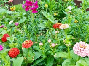 Prodej rodinného domu, Liberec, 225 m2