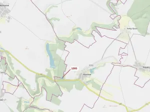 Dražba lesa, Mladoňovice, 1427 m2