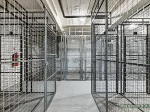 Prodej bytu 2+kk, Praha - Žižkov, Jeseniova, 66 m2