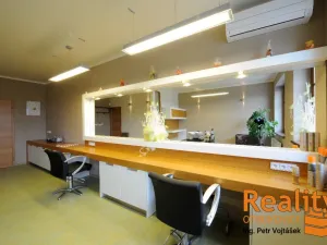 Pronájem komerční nemovitosti, Otrokovice - Kvítkovice, K. H. Máchy, 20 m2