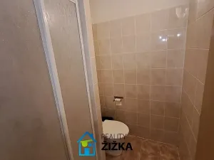 Pronájem bytu 1+kk, Brno, třída Generála Píky, 24 m2