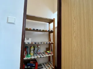 Pronájem bytu 1+1, Ostrava - Moravská Ostrava, Gorkého, 54 m2