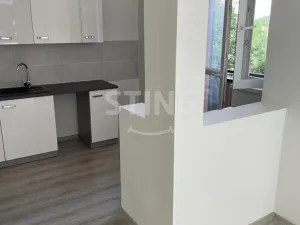 Pronájem bytu 2+1, Ostrava, Bohumínská, 49 m2