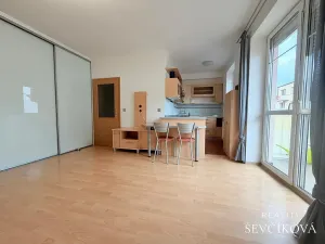 Pronájem bytu 2+kk, Hradec Králové, Šmilovského, 50 m2