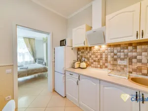 Pronájem bytu 1+1, Mariánské Lázně, Karlovarská, 45 m2