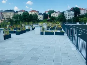 Pronájem bytu 2+kk, Praha - Vinohrady, Perucká, 45 m2