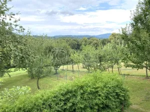 Pronájem rodinného domu, Zubří, Na Kopci, 39 m2