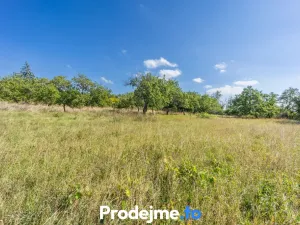 Prodej chaty, Dobšice, 27 m2