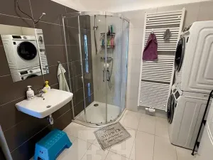 Pronájem rodinného domu, Zlonín, Borová, 198 m2