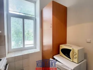 Pronájem bytu 1+1, České Budějovice - České Budějovice 3, 38 m2