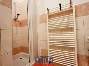 Pronájem bytu 1+1, České Budějovice - České Budějovice 3, 38 m2