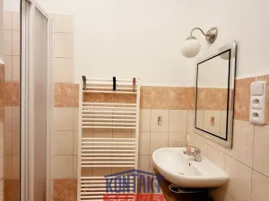 Pronájem bytu 1+1, České Budějovice - České Budějovice 3, 38 m2