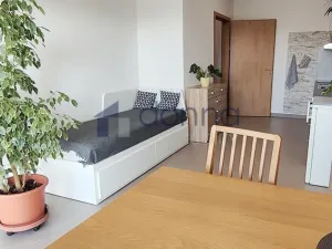 Pronájem bytu 2+kk, Praha, Hlučkova, 46 m2