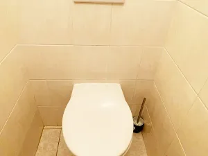 Pronájem bytu 2+1, Praha, Senohrabská, 52 m2