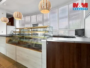 Pronájem obchodního prostoru, Ostrov, Lidická, 120 m2