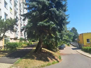 Prodej bytu 2+1, Krupka - Maršov, Karla Čapka, 61 m2