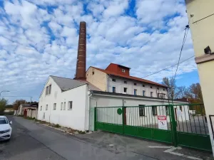 Pronájem obchodního prostoru, Přelouč, Sportovní, 1800 m2
