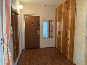 Pronájem bytu 2+1, Plzeň - Skvrňany, Terezie Brzkové, 63 m2