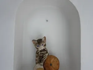 Prodej rodinného domu, Včelná, Hraniční, 150 m2