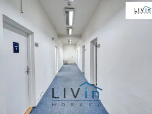 Pronájem kanceláře, Olomouc, Karolíny Světlé, 28 m2