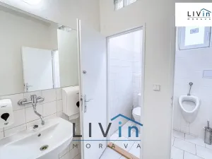 Pronájem kanceláře, Olomouc, Karolíny Světlé, 28 m2