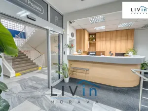 Pronájem kanceláře, Olomouc, Karolíny Světlé, 20 m2