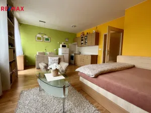 Prodej bytu 1+kk, Zlín, Zelinova, 30 m2