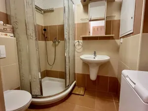 Prodej bytu 1+kk, Zlín, Zelinova, 30 m2