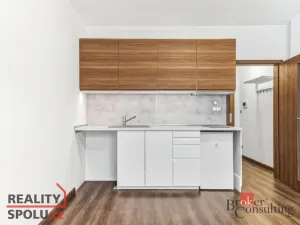 Pronájem bytu 1+kk, Pardubice - Zelené Předměstí, Rokycanova, 29 m2