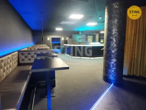 Pronájem komerční nemovitosti, Přerov, Wilsonova, 210 m2