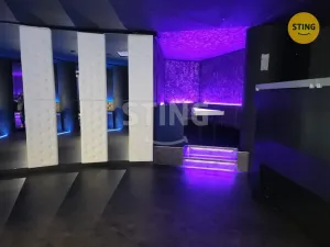 Pronájem komerční nemovitosti, Přerov, Wilsonova, 210 m2