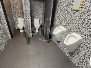 Pronájem komerční nemovitosti, Přerov, Wilsonova, 210 m2