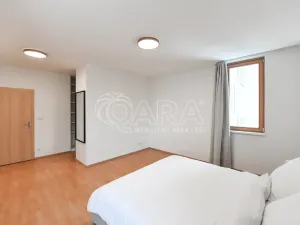 Pronájem bytu 2+kk, Praha - Krč, Panuškova, 83 m2