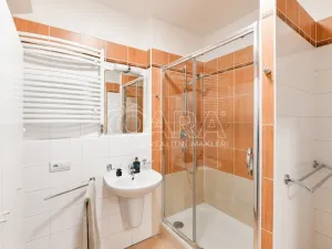 Pronájem bytu 2+kk, Praha - Krč, Panuškova, 83 m2