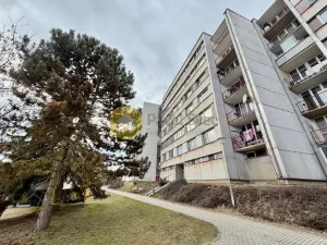 Prodej bytu 2+1, Strakonice - Strakonice I, Sídliště 1. máje, 56 m2