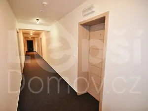 Prodej bytu 1+kk, Jeseník, Na Mýtince, 36 m2