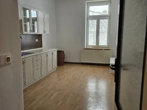 Pronájem bytu 1+1, Opava - Předměstí, třída Spojenců, 52 m2