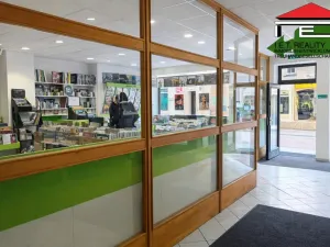 Pronájem obchodního prostoru, Brno, Josefská, 117 m2
