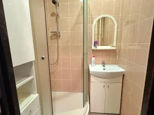 Pronájem bytu 2+1, Bílina, M. Švabinského, 56 m2