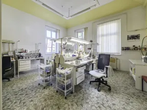 Pronájem komerční nemovitosti, Duchcov, Tyršova, 295 m2