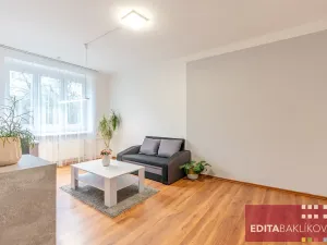 Pronájem bytu 1+1, Olomouc, Dr. Milady Horákové, 39 m2