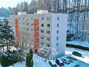 Prodej bytu 2+1, Desná, Krátká, 55 m2