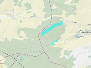 Prodej lesa, Jiříkov, 126160 m2