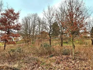 Prodej pozemku pro bydlení, Hradištko, Naděje, 1653 m2