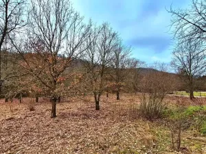 Prodej pozemku pro bydlení, Hradištko, Naděje, 1653 m2