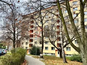 Prodej bytu 3+1, Uherské Hradiště, Na Rybníku, 73 m2