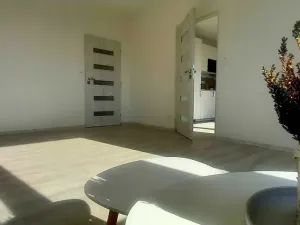 Pronájem bytu 1+1, Hradec Králové, třída Edvarda Beneše, 47 m2